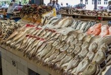 أسعار الأسماك في سوق العبور لـ يوم الثلاثاء 30 مارس 2021