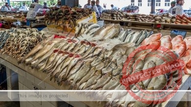 أسعار الأسماك في سوق العبور لـ يوم الثلاثاء 30 مارس 2021