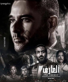 السينما المصرية 2021 بين قصص الحقيقة ومغامرات الخيال