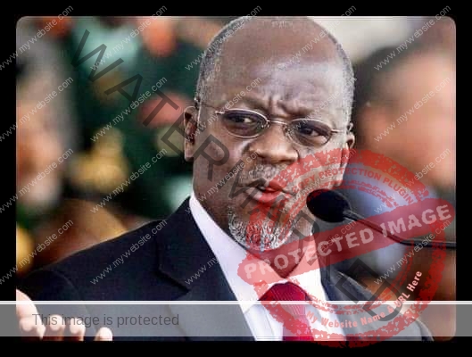 السيسي ينعي الرئيس التنزاني جون ماجوفولي