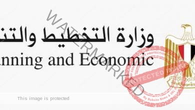 وزارة التخطيط: وكالة "فيتش" وتوقعات نمو الاقتصاد المصري بنسبة 6%