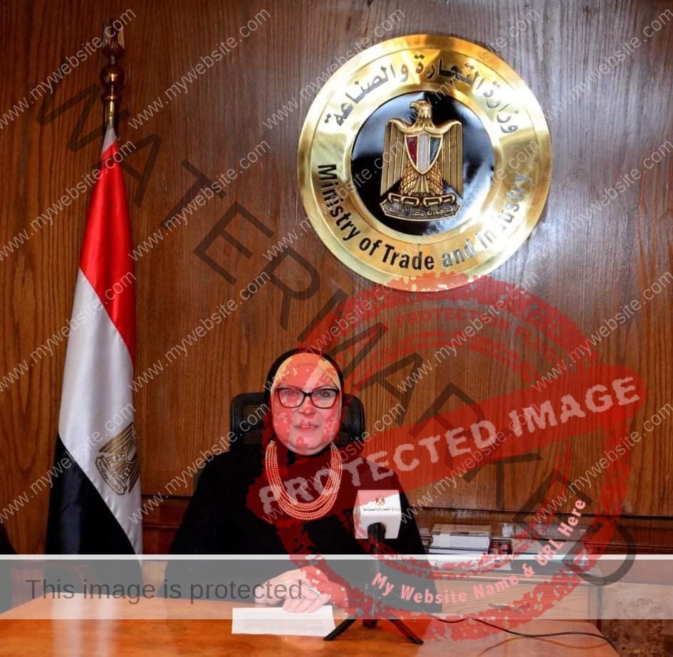 جامع تلقى كلمة مصر بـ إفتتاح فعاليات المنتدى الثانى للمنطقة العربية