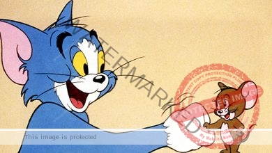 Tom and Jerry وصلت إلى 38 مليونا و810 آلاف دولار منذ طرحه