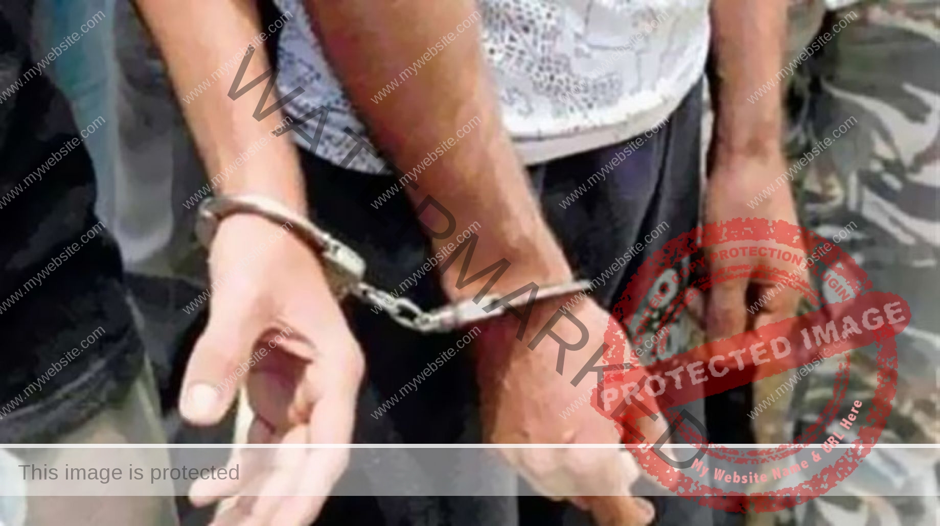 وزارة الداخلية: ضبط شخصين  سرقا ١٢ سيارة بـ محافظة الجيزة