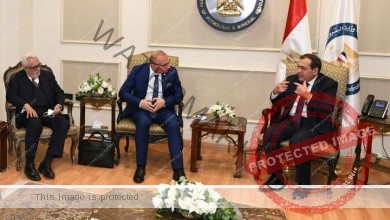الملا يستقبل وزير الشئون الخارجية والأوروبية الكرواتى بالقاهرة 