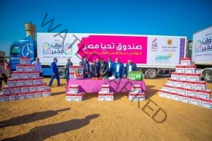 صندوق تحيا مصر يوفر 80 طن مواد غذائية بمحافظة الشرقية