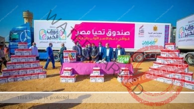 صندوق تحيا مصر يوفر 80 طن مواد غذائية بمحافظة الشرقية
