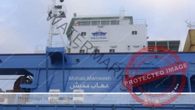 ربيع: قناة السويس تشهد عبور السفينة الحاملة للكراكة "مهاب مميش"