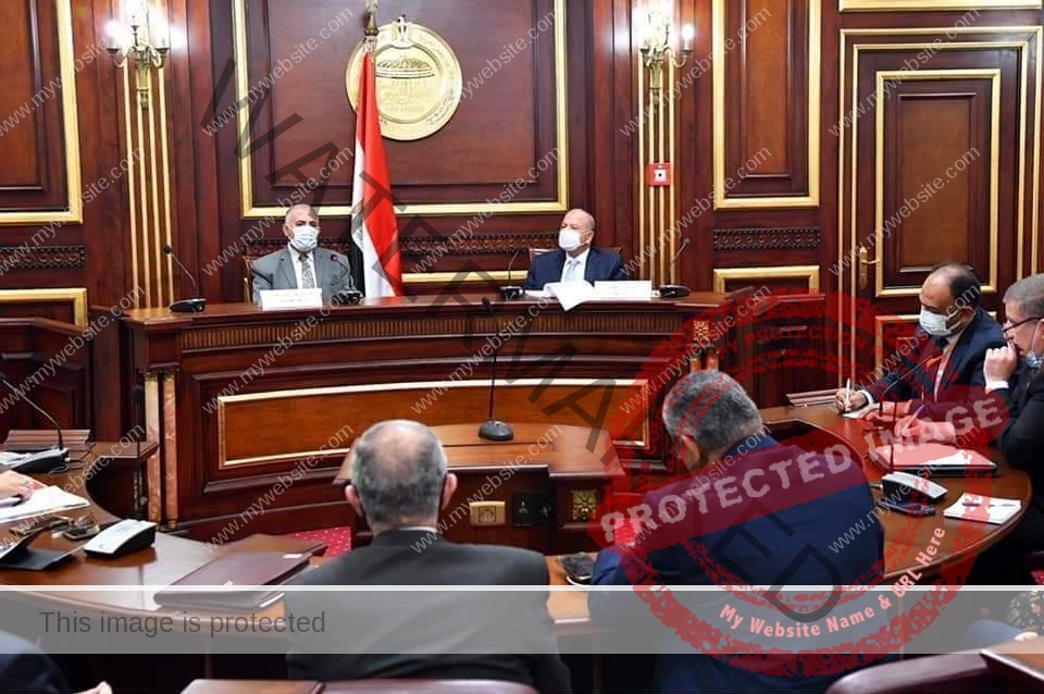 عبد العاطي يشارك في اجتماع لجنة الدفاع والأمن القومي بمجلس الشيوخ