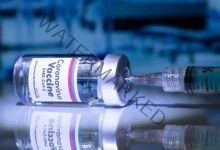 مصر تحقق الاكتفاء الذاتي من اللقاحات المضادة لـ كورونا
