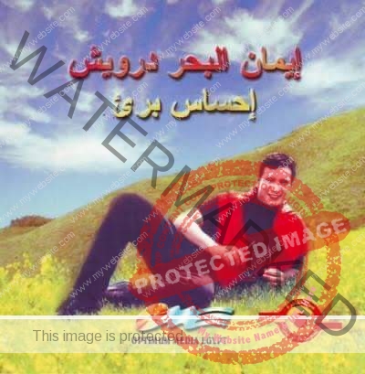 جمهور عمرو دياب وتامر حسني يختلف عن جمهور إيمان البحر و منير 
