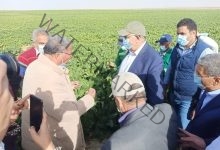 المصيلحي : يتابع مشروع غرب المنيا لزيادة مساحة الرقعة الزراعية