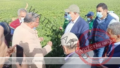 المصيلحي : يتابع مشروع غرب المنيا لزيادة مساحة الرقعة الزراعية