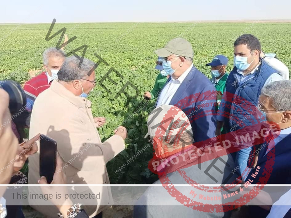 القصير : يتابع مشروع غرب المنيا لزيادة مساحة الرقعة الزراعية