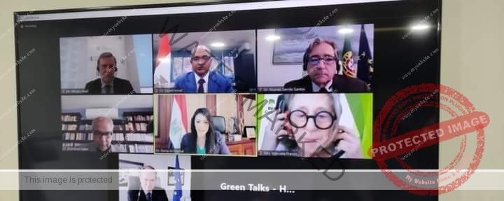 إسماعيل يشارك فى ندوة التحول الأخضر في مصر