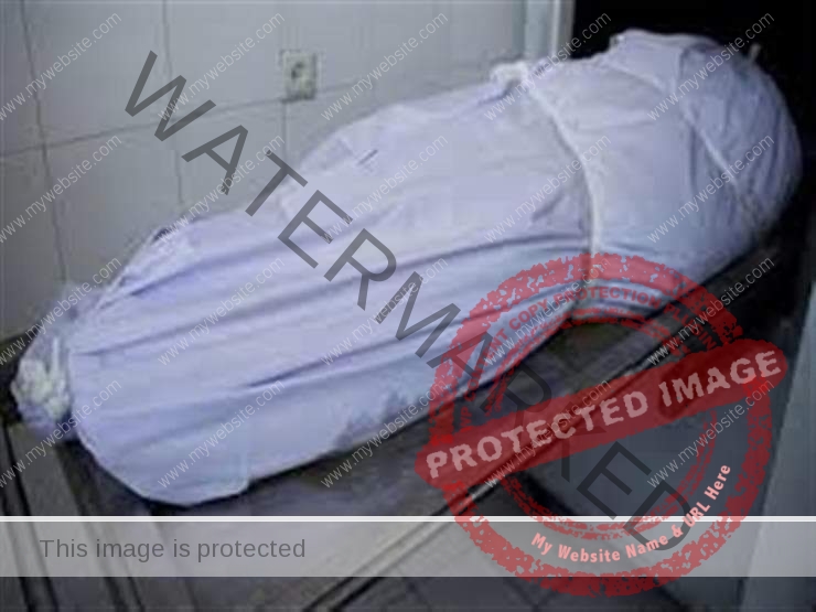 "عاجل" مقتل شخص أثناء فض مشاجرة بين شقيقين بمدينة 6 أكتوبر … التفاصيل