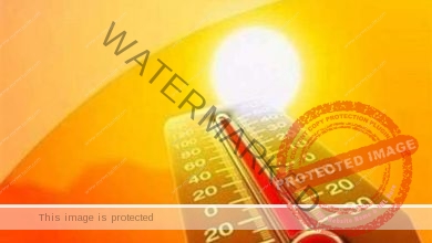 الأرصاد: طقس حار على القاهرة والوجه البحري شديد الحرارة بـ جنوب البلاد