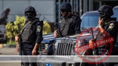 الداخلية : ضبط شخص ظهر بفيديو يستجدي المارة والسيارات بألاسكندرية
