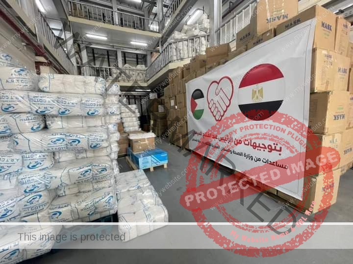 زايد: إرسال 65 طنا من الأدوية والمستلزمات الطبية لدعم الفلسطينين 