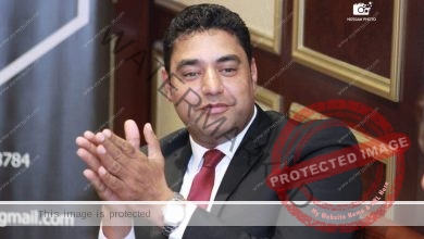 الإعلامي حسام الدين الأمير يطالب بقسم أخلاقي ومجتمعي للمصريين