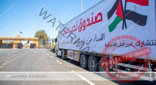 قافلة مساعدات لفلسطين دور خارجي لـ«تحيا مصر»