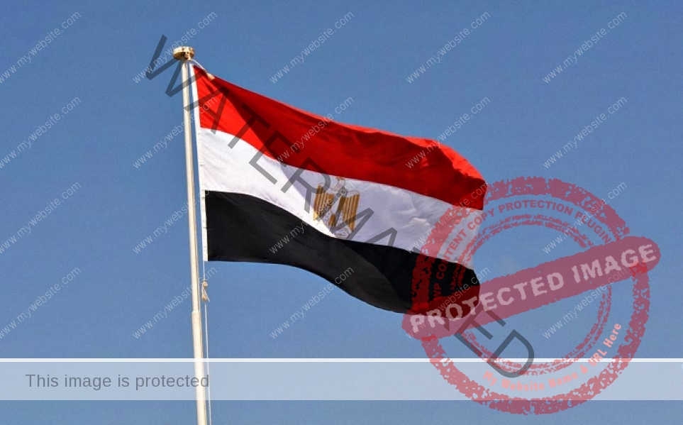 مصر تدين الهجوم الإرهابي علي مدينة "بولي عالم" بـ وسط أفغانستان