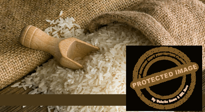 شعبة الأرز : مصر دولة منتجة لا تتأثر بزيادة الأسعار العالمية