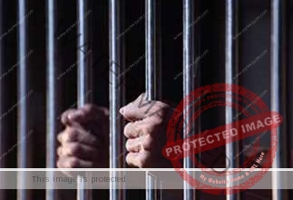 حبس عاطل 4 أيام على ذمة التحقيقات لـ سرقة حماة الفنان تامر حسني