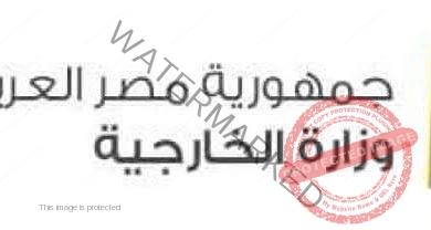 الخارجية المصرية تعرب عن إدانتها للهجوم الإرهابي على إقليم ياجا