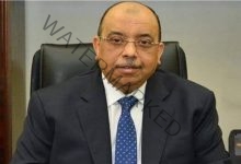 شعراوي: مصر تسعى لتعزيز استراتيجية الاقتصاد الأخضر والاعتماد على الطاقة النظيفة 