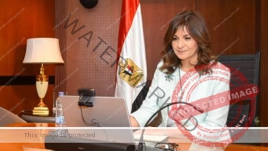 "وزيرة الهجرة" تعقد الجلسة الحوارية الثانية لمبادرة "صوت مصر في أفريقيا"