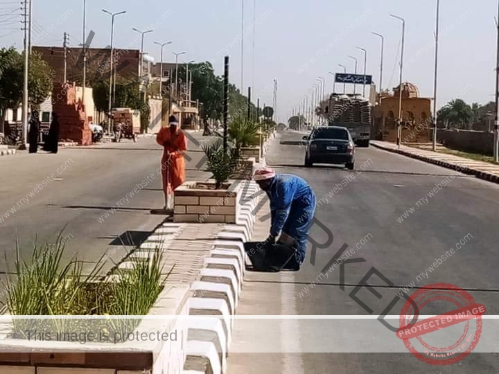 جهود بمراكز ومدن أسوان للارتقاء بالنظافة العامة والإشغالات