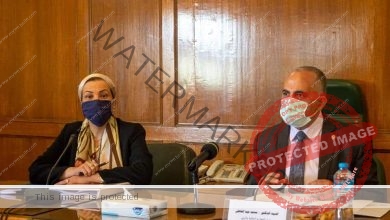 عبد العاطي وفؤاد يترأسا اجتماع اللجنة العليا لتراخيص الشواطئ