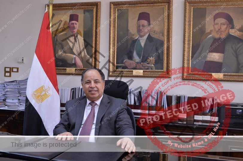 معيط يؤكد سياسة ونجاح مصر في تنفيذ المشروع القومي لمنظومة الإدارة الضريبية