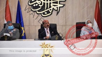 الجلسة التشاورية تصدر بيان بعنوان(احميها من الختان) برئاسة محافظ أسوان