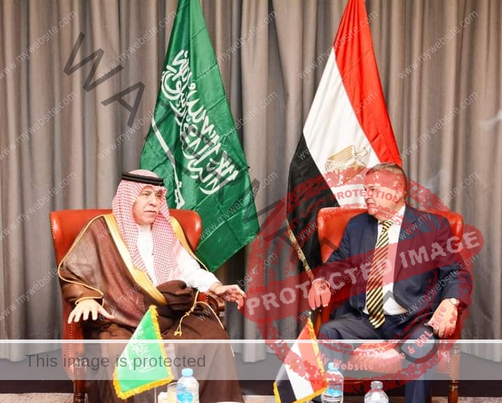 توفيق: يبحث مع وزير التجارة السعودي تعزيز التعاون الاقتصادي