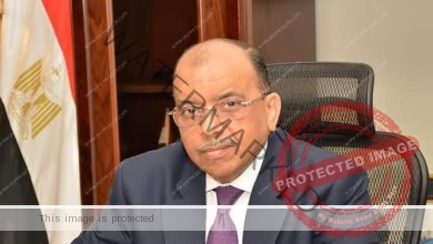 شعراوي يعلن استضافة مصر اجتماع المجلس التنفيذي لمنظمة المدن والحكومات المحلية الأفريقية