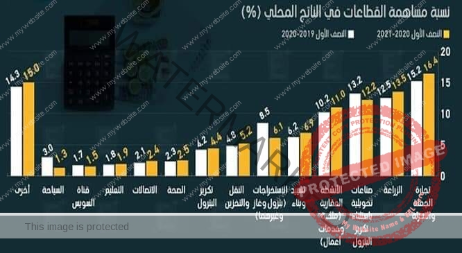 المصيلحي: التجارة الداخلية تستمر كأكبر مساهم في الناتج المحلى الإجمالي