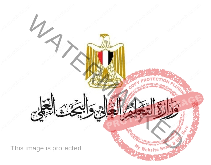 عبدالغفار: يتلقى تقريرًا حول أنشطة معهد بحوث البترول المصري