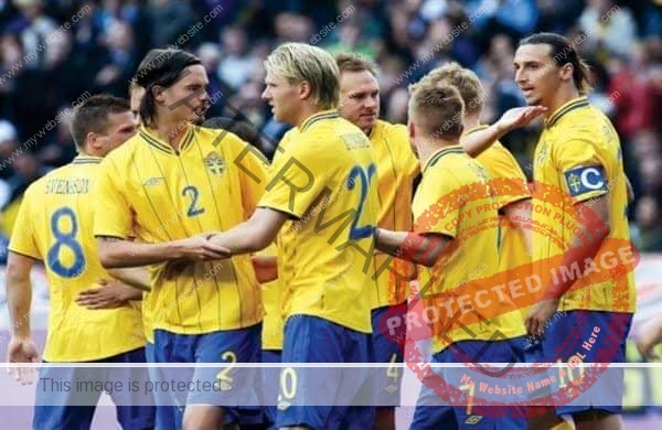 "أندرسون" يعلن عن تشكيل منتخب السويد قبل مواجهة المنتخب البولندي بـ " يورو 2020 "