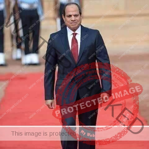 الرئيس السيسي يهنئ  المصريين بذكرى ثورةيونيو