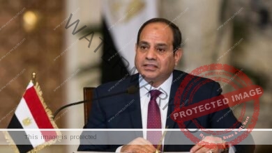 رئيس جامعة القاهرة يهنئ الرئيس السيسى والقوات المسلحة بانتصارات أكتوبر المجيدة