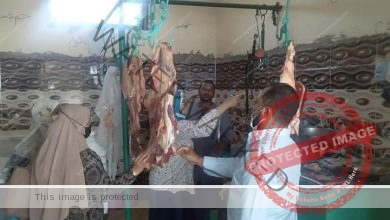 تكثيف الرقابة على محلات بيع الأسماك واللحوم بأحياء مدينة سفاجا