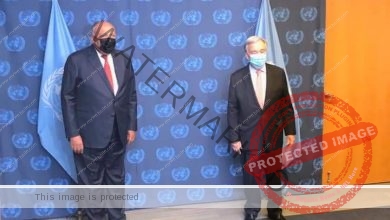 شكري يلتقي بسكرتير عام الأمم المتحدة