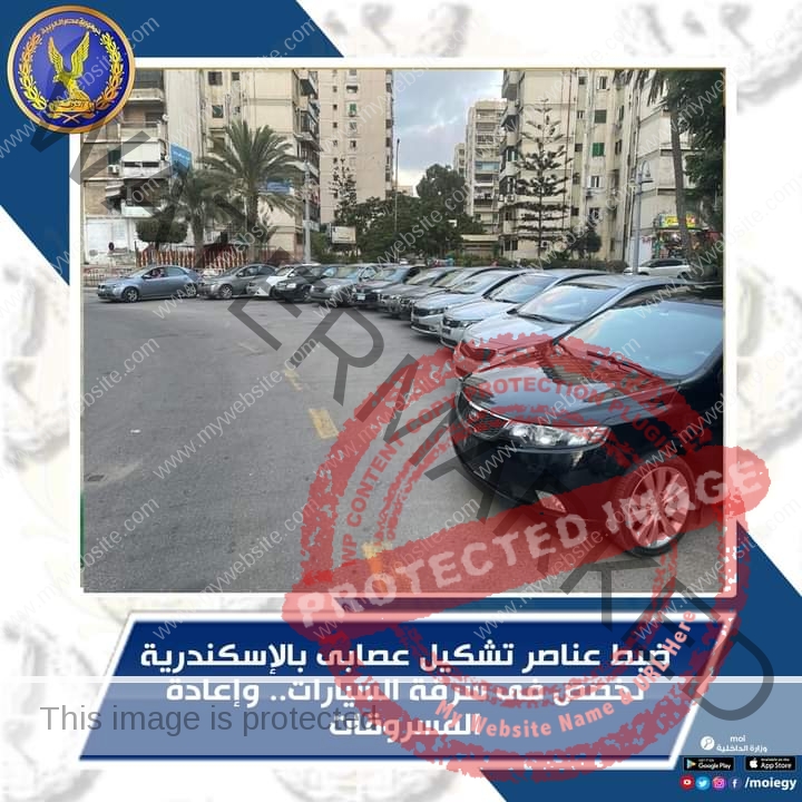 ضبط تشكيل عصابي تخصص في سرقة السيارات بـ الأسكندرية 