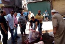 حملة مكبرة لمتابعة محلات الجزارة والشوادر بحي وسط بـ الأسكندرية 