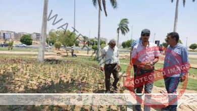 جهاز مدينة العبور ينفذ حملة جديدة لإزالة الإشغالات ويكثف أعمال تطوير الطرق والميادين بالمدينة