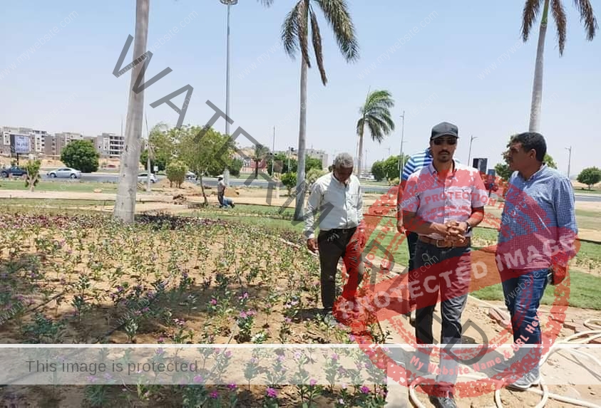 جهاز مدينة العبور ينفذ حملة جديدة لإزالة الإشغالات ويكثف أعمال تطوير الطرق والميادين بالمدينة