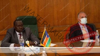 عبد العاطى يستقبل "ماناوا بيتر" وزير الموارد المائية والرى بدولة جنوب السودان