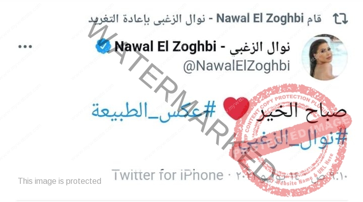 نوال الزغبي تعلن عن ألبومها الجديد عبر تويتر